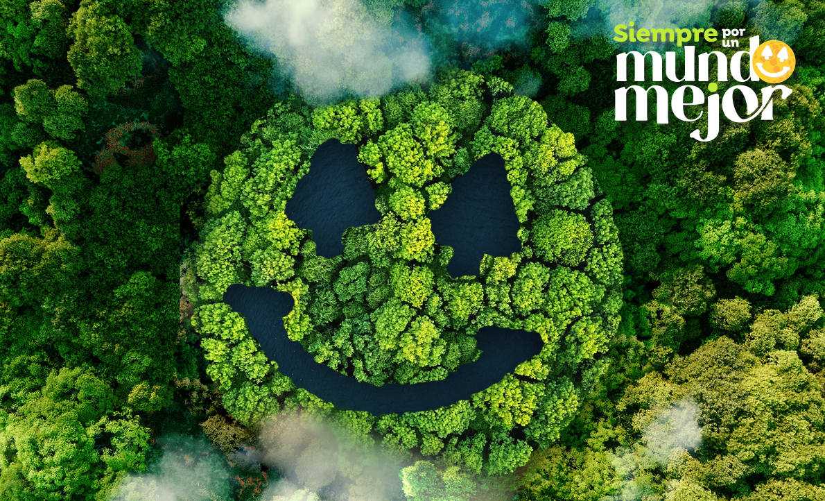 Cooperativa Dos Pinos